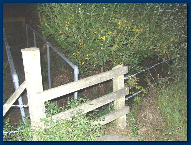 600x449 pixels (183K)